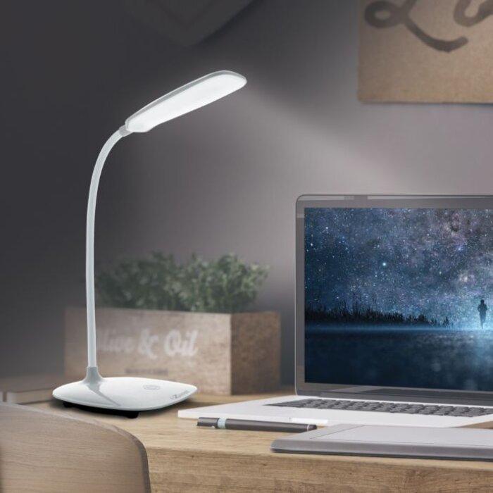 iZoom Swan Light Rechargeable Flex Desk Lamp 500 Lumens Pepe Ganga